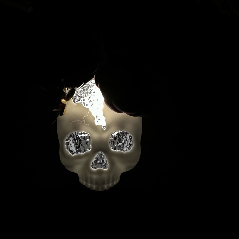 Bath & Body Works Succulent Skull Light Up Wallflower Plug - Picture 2 of 3
